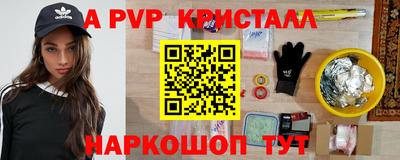 стаф Кингисепп