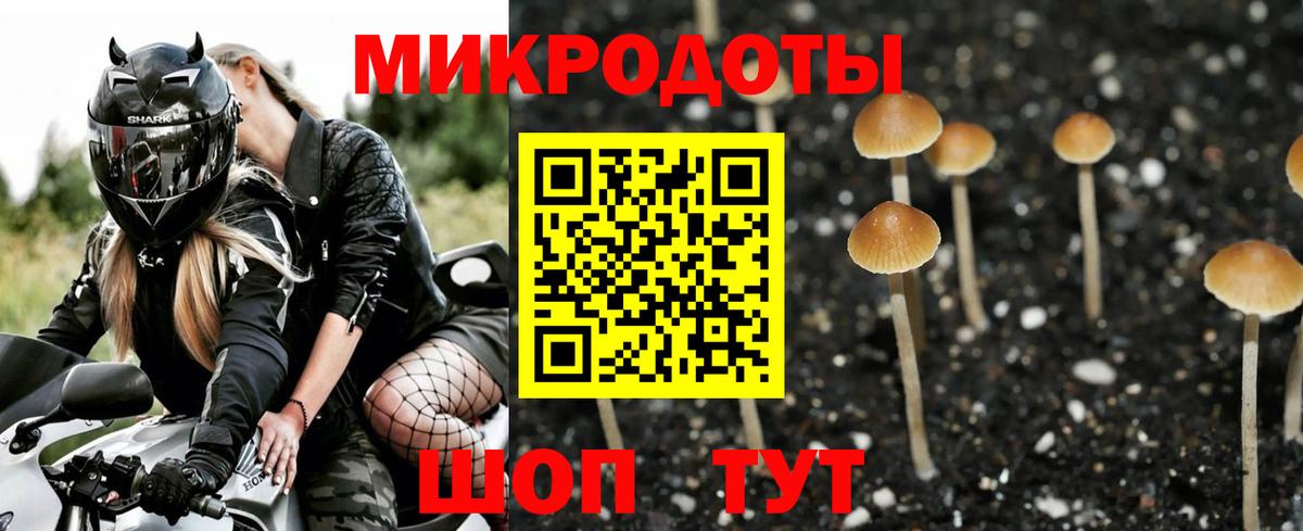 Псилоцибиновые грибы MAGIC MUSHROOMS  Вход с VPN  Чебаркуль  Галлюциногенные грибы Cubensis 